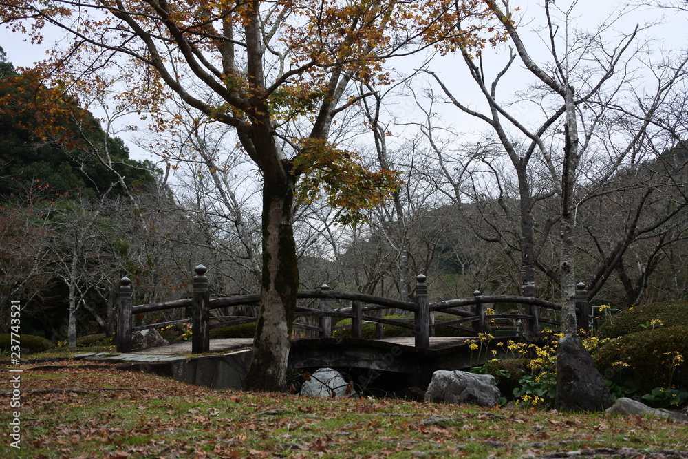 bridge on the park