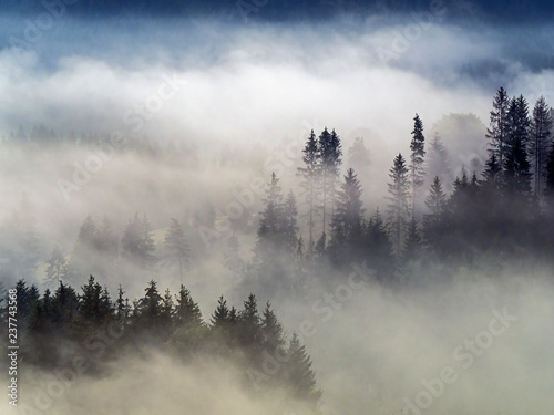 The Fog © Prajzner