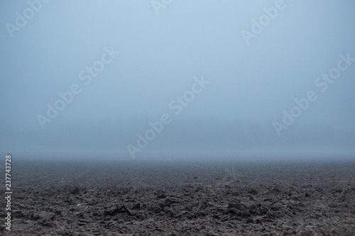 A foggy landscape in Scandinavia