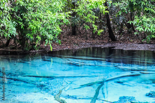 Fototapeta Naklejka Na Ścianę i Meble -  Blue pool Krabi province one the amazing in south of Thailand destination.
