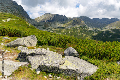 Nice mountain scene with old stones on green meadow © Pavlo Klymenko