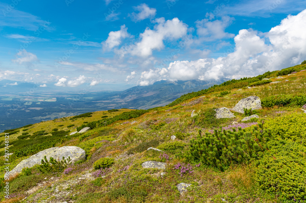 nice mountain landscape in Tatras nice mountain landscape in Tatras
