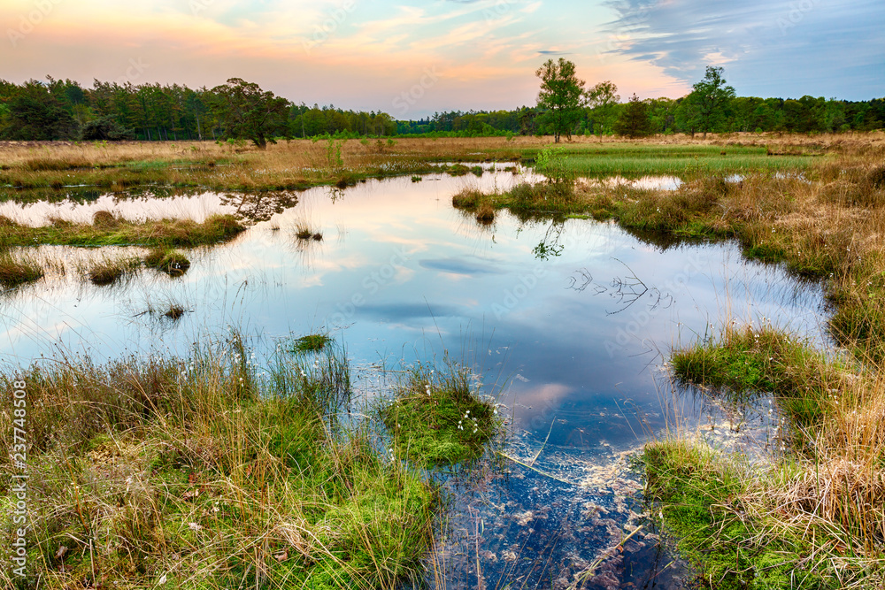 Wetlands and moorland on the national park Groote Zand near Hooghalen Drenthe during sunset