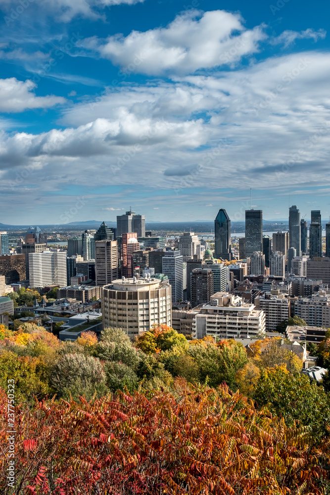 Fototapeta premium Montreal skyline viewed from the Mount Royal Park. Quebec, Canada.