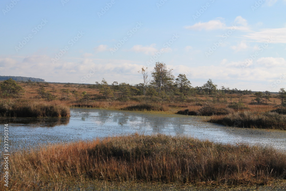 Yelnya fog (Yelnya National Landscape Reserve), Belarus Yelnya fog (Yelnya National Landscape Reserve), Belarus