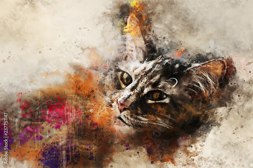 Cat art. Beautiful abstract cat artwork - watercolor drawing, mixed media. The face of a cat in a contemporary style of abstract art. photo