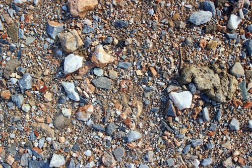 Wet beach pebbles stones sand algae