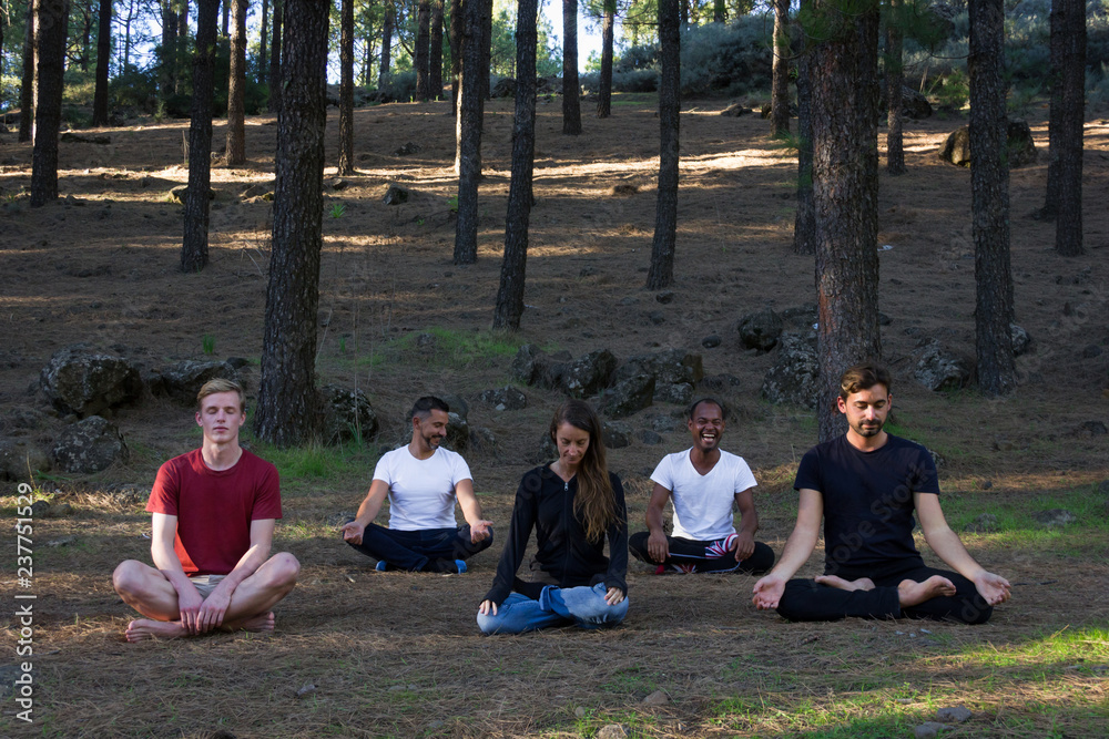 Multi ethnic group of young people sitting in padmasana in meditation class in pine wood forest. Woman and four men in lotus pose outdoors. Spiritual exercise, nature connection concepts