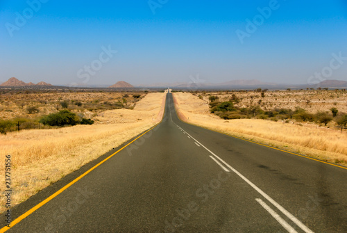 Paved road with bushes, dry grass, acacia camelthorn tree and a hill in Namibia, Africa
