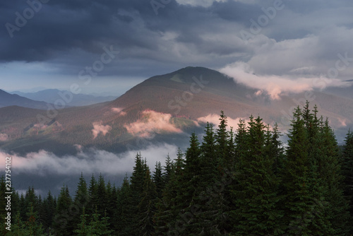 Colored sunrise in forested mountain slope with fog