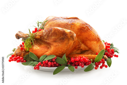 Christmas or Thanksgiving turkey