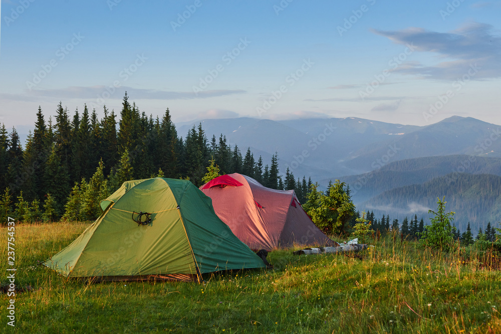 Tourist tents are in the green misty forest at the mountains