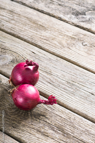 two spanish onions on old rustic wood table background