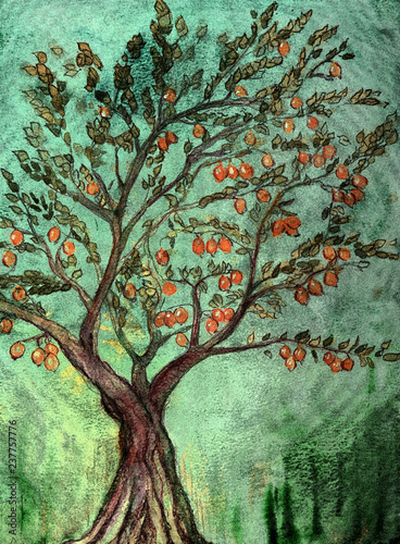 Fototapeta Rustic fruit tree with oranges and green background