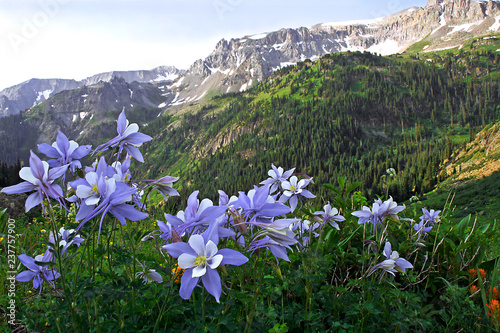 Mountain Landscapes Colorado Fototapet
