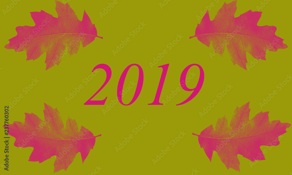 illustration, pink leaves on green background, lettering 2019 on green background, new year illustration, pink leaves on green background, lettering 2019 on green background, new year