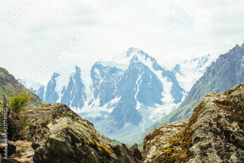 Wonderful glacier on rock background. Giant snowy mountain top behind rocky mountains under cloudy sky. Huge mountainside. Rich vegetation of highlands. Atmospheric landscape of majestic nature.