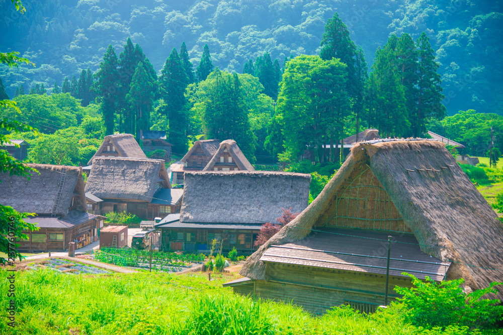 Ainokura Gassho Zukuri farmhouses in Toyama, Japan. Japan is a country located in the East Asia. Ainokura Gassho Zukuri farmhouses in Toyama, Japan. Japan is a country located in the East Asia.