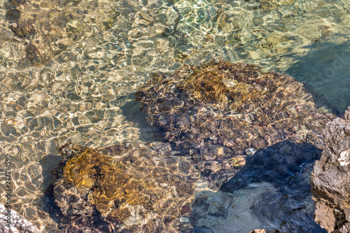 Rocky Coast. Adriatic Sea © Dmitrii Brodovoi