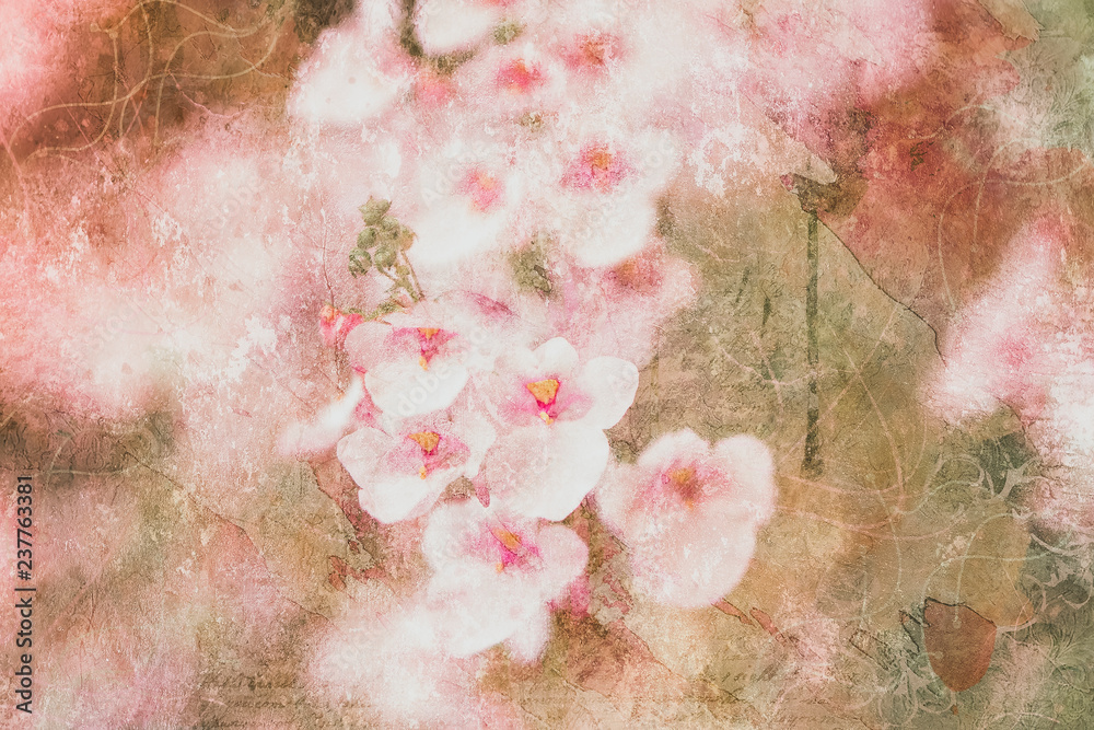 Fototapeta Malowane różowe kwiaty