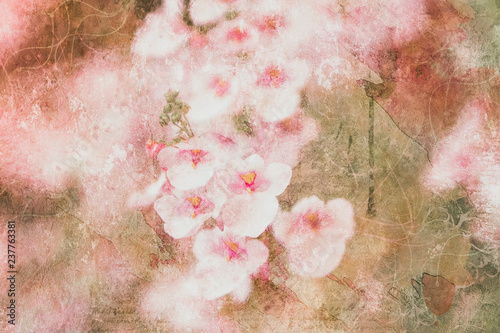 Blüten rosa
