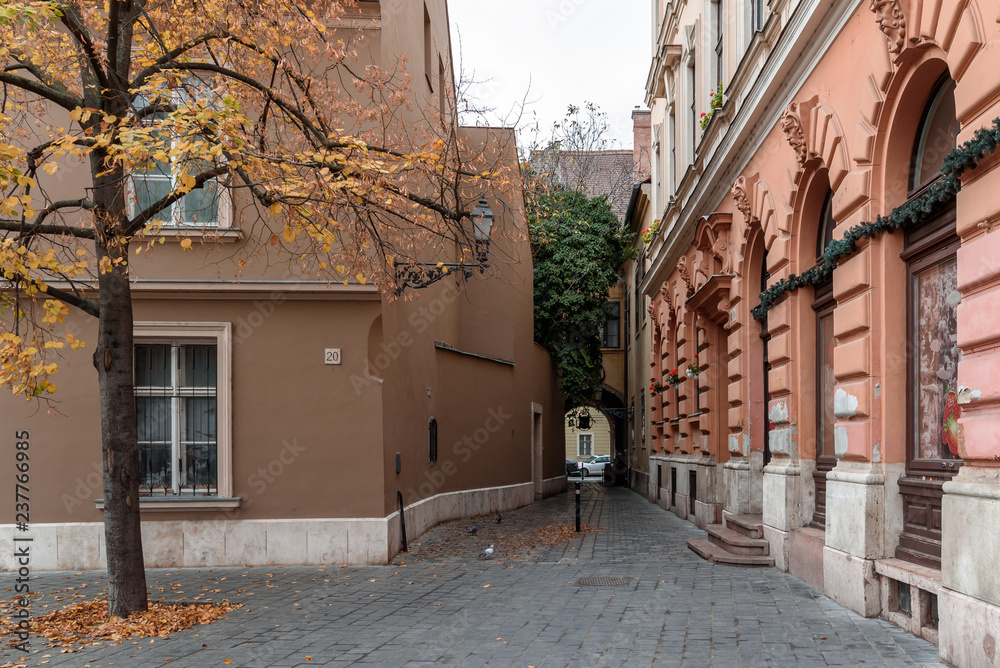 Typical street in Budapest, Hungary. This street is on the Buda side of the city