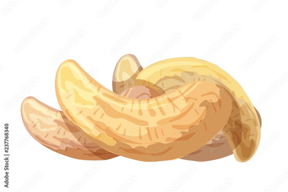 Group of ripe cashews on a white background. Color drawing in cartoon style. Vector illustration. Group of ripe cashews on a white background. Color drawing in cartoon style. Vector illustration.