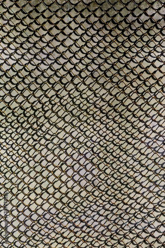 the texture of the metal garden grid. background