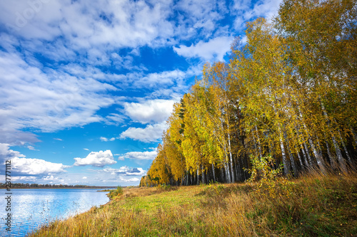 Autumn landscape on the river. Western Siberia  Novosibirsk region  Russia
