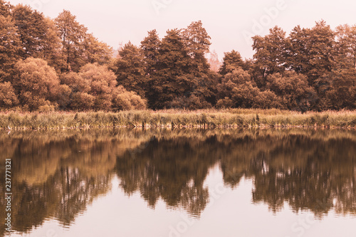 Autumn forest on the shore of the lake reflected in water with vintage color tint