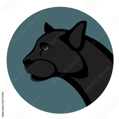  cougar head vector illustration , flat style ,profile
