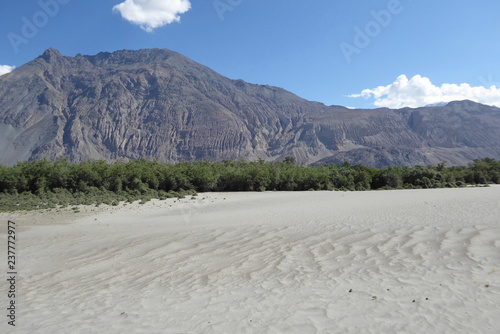 Sand dunes in the Nubra Valley, Ladakh photo