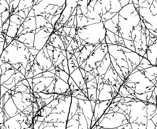 vector seamless texture of the branches on the white background