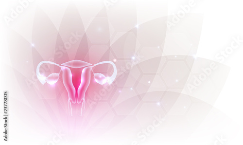 Female reproductive organs beautiful artistic design, transparent flower at the background.