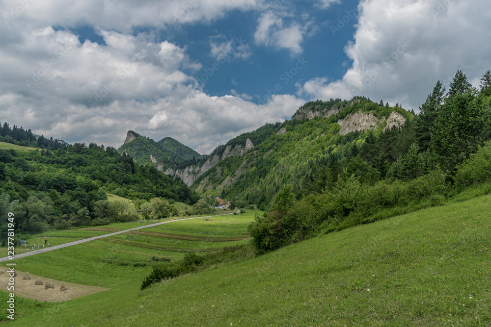 National park Pieniny near Lesnica village in summer green day