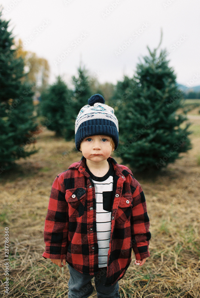 Christmas Tree Farm Film Scans with Oregon Kid Christmas Tree Farm Film Scans with Oregon Kid