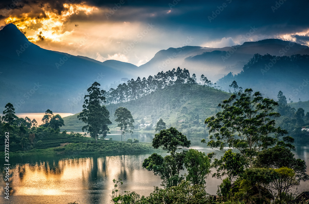 panorama of the tea plantations at sunset - Sri Pada peak in the background