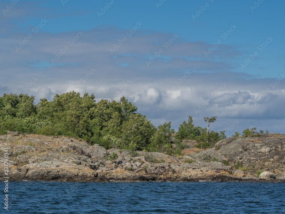 Birch and other trees grow under cloudy skies on a rocky islet in the Baltic Sea