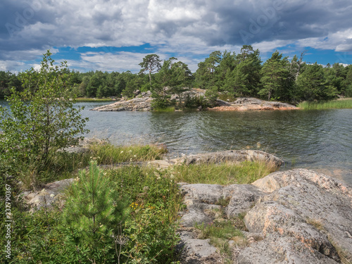 Wildflowers and pine trees grow on rocky outcrops that rise from the water on a summer day in Sweden