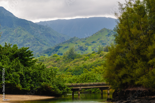 Scenic view from the beach looking up to the lush mountains on the tropical island of Kauai, Hawaii, USA