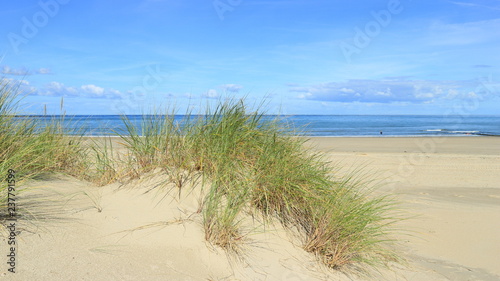 D  nen und Strand bei Renesse