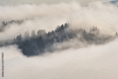 autumn morning in the Carpathian mountains. scenic foggy dawn