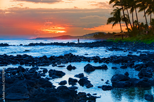 Palm trees at sunset, Kauai, Hawaii, USA