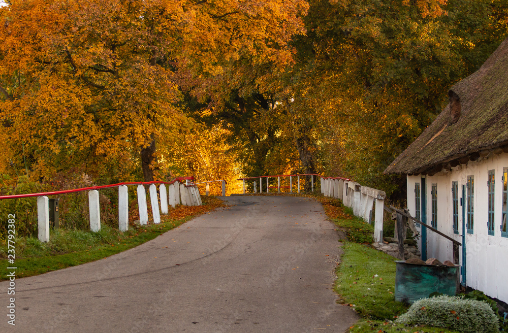 Naklejka premium autumn on the road