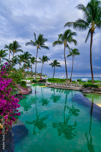 Overlooking a resort pool. © Don Landwehrle