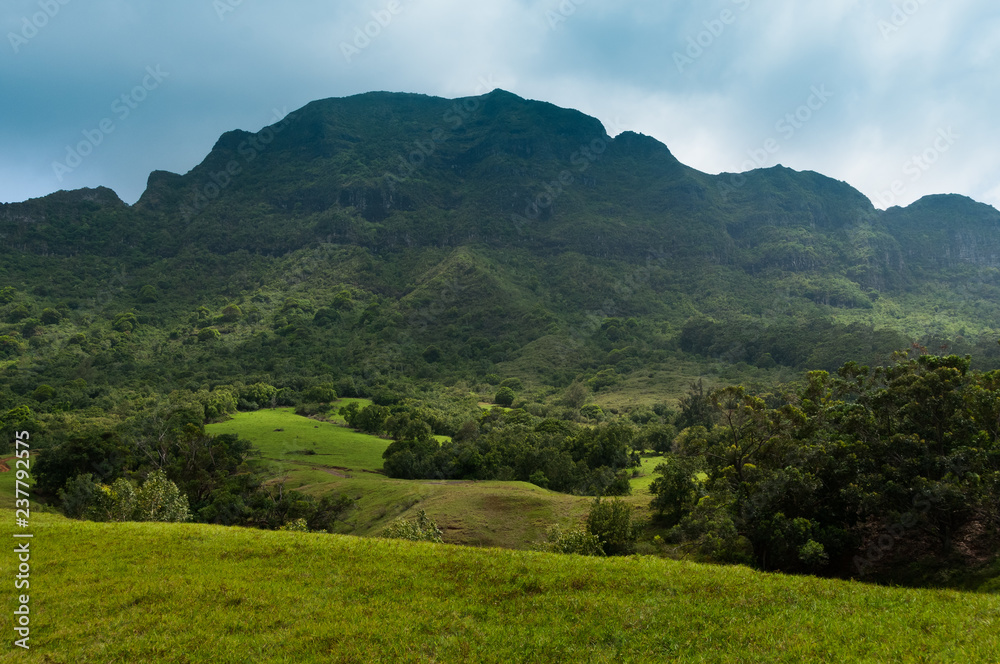 Fototapeta premium Scenic view looking up at a lush mountainous hillside on the tropical island of Kauai, Hawaii, USA