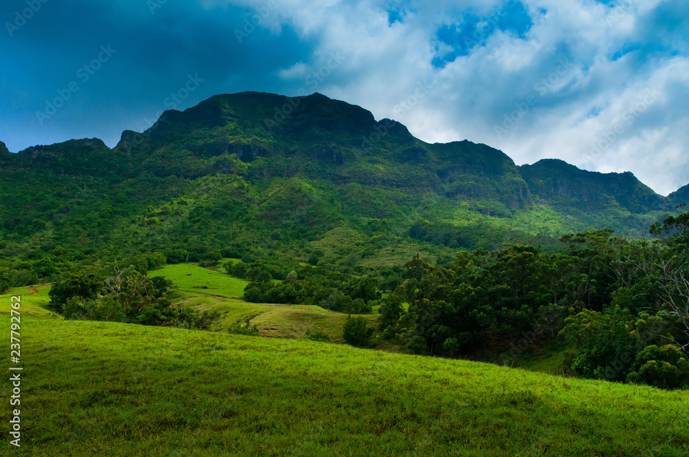 Scenic view looking up at a lush mountainous hillside on the tropical island of Kauai, Hawaii, USA Scenic view looking up at a lush mountainous hillside on the tropical island of Kauai, Hawaii, USA