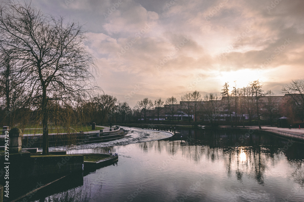 lake in the park