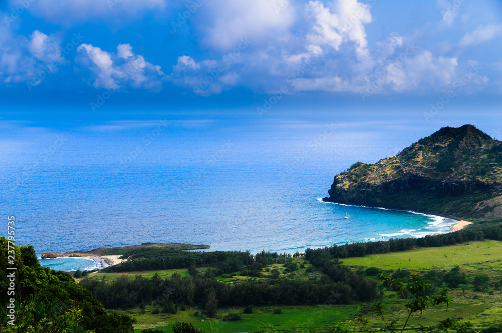 Aerial view overlooking the tropical island of Kauai and the Pacific Ocean, Hawaii.