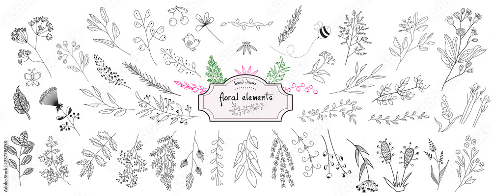 Hand drawn collection of rustic and floral design elements. Tree branches, flowers, plants and leaves ink silhouettes. Isolated vector on white background Hand drawn collection of rustic and floral design elements. Tree branches, flowers, plants and leaves ink silhouettes. Isolated vector on white background